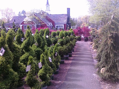 GENERAL LANDSCAPING LLC - Country Gardens