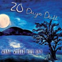 What Would you Say von 20 Days Dull