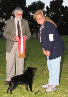 Here we are at Murray Bridge in South Australia winning Best in Show with my Mum Lynette Niemann. With a Judge from Western Australia Mr Wise in October 2004.

