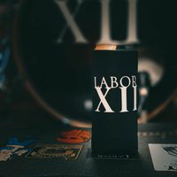 LABOR XII Skinny Koozie