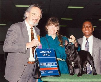 "MADDIE" Shown winning a major under a favorite judge, Frank Oberstar (now deceased). A favorite maybe because he also gave "Nicole" a 4 point major in Texas. No, he was alot of fun in the ring.
