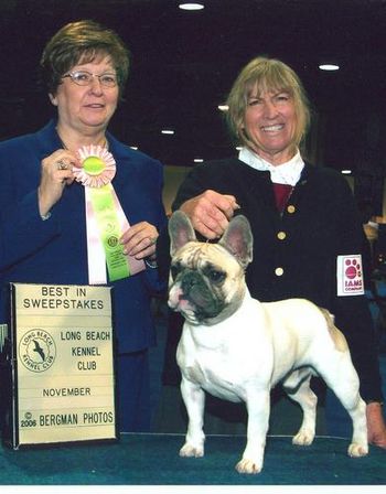 We were thrilled when "Chevy" went Best in Sweepstakes at the Long Beach Kennel Club Show. Judge was Joyce Haas, past president of the FBDCA. He won so much stuff, but his favorite was a stuffed toy that he proudly carried around in his mouth for about 1/2 hr. The more we laughed the more he loved carrying it around. Too funny!! My favorite of his winnings was a DVD that we use all the time in our RV. It was really a fun time for us that day, especially when he then went Winners Dog for a 5 pt major an hour later..
