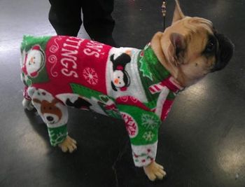 "Emmett" in his Christmas PJ;s
