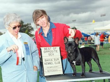 CH. LEGACY MON PETIT CHOU MADELEINE "MADDIE" Sire: NB's M Le Penible Grand Epave Dam: CH. Legacy Ms Behavino'Rosewood We are all leaning here, but she is on her way to her Championship. "Maddie" was probably one of the most attentive show dogs. She would stand in a perfect pose with ears up forever (not like the above) and I had to do almost nothing - she basically showed herself and was a perfect two tracker on the move. A sweet and loving girl too.
