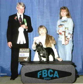 CH. MON PETIT CHOU PEN AND INK "PEN" Shown going BOS to Best In Sweeps at the FBDCA National 2001 out of an entry of 80 puppies. Pen had 2 litters for a total of 6 puppies, producing 4 champions. Bred by Connie Hughes and Carol Dostal Sire: CH. La Reine Menteur Merveilleux Dam: CH. Mon Petit Chou India Ink, OA OAJ DOB: 11/20/00
