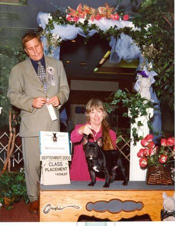 CH. MON PETIT CHOU CARBONINZED INK "CARBON" Sire: CH. Mon Petit Chou Dashingly Dam: CH. Mon Petit Chou Pen and Ink At the National placing in a class.
