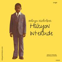 Halcyon Interlude by Mboya Nicholson