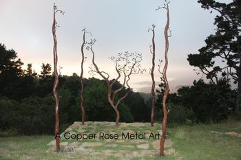 Steel Manzanita Tree Sculpture / Wedding Chuppa - Carmel Valley, CA -  To see more art, you can also visit Debra's art website www.acopperrose.com

