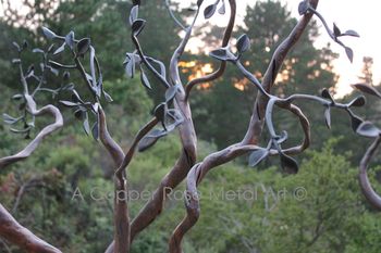 Welded Steel Manzanita Tree Sculpture, Carmel Valley, CA  Artist:  Debra Montgomery / A Copper Rose Metal Art - www.acopperrose.com
