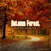 Autumn Forest CD: CD