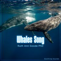 Whales Song CD: CD