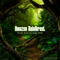 Amazon Rain Forest CD: CD