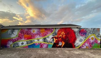 Mural done by @steventellerarts on instagram in jacksonville, florida (2020)
