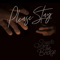 Please Stay by Sounds From The Bridge
