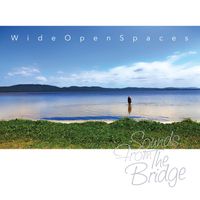 Wide Open Spaces by Sounds From The Bridge