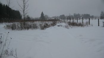 Snow covered Trail
