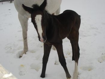 Rio Valentina first day outside
