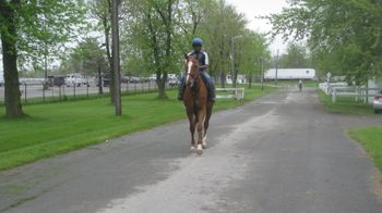 Going for Training at Fort Erie
