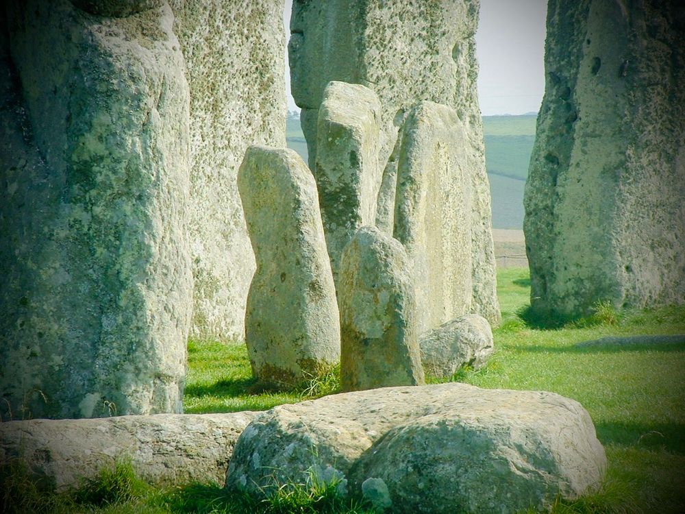 The Stonehenge "Bluestones"