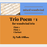 Trio Poem #1 (for two flutes and clarinet) by nwilliamscreative