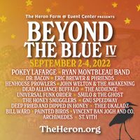 Beyond the Blue IV
