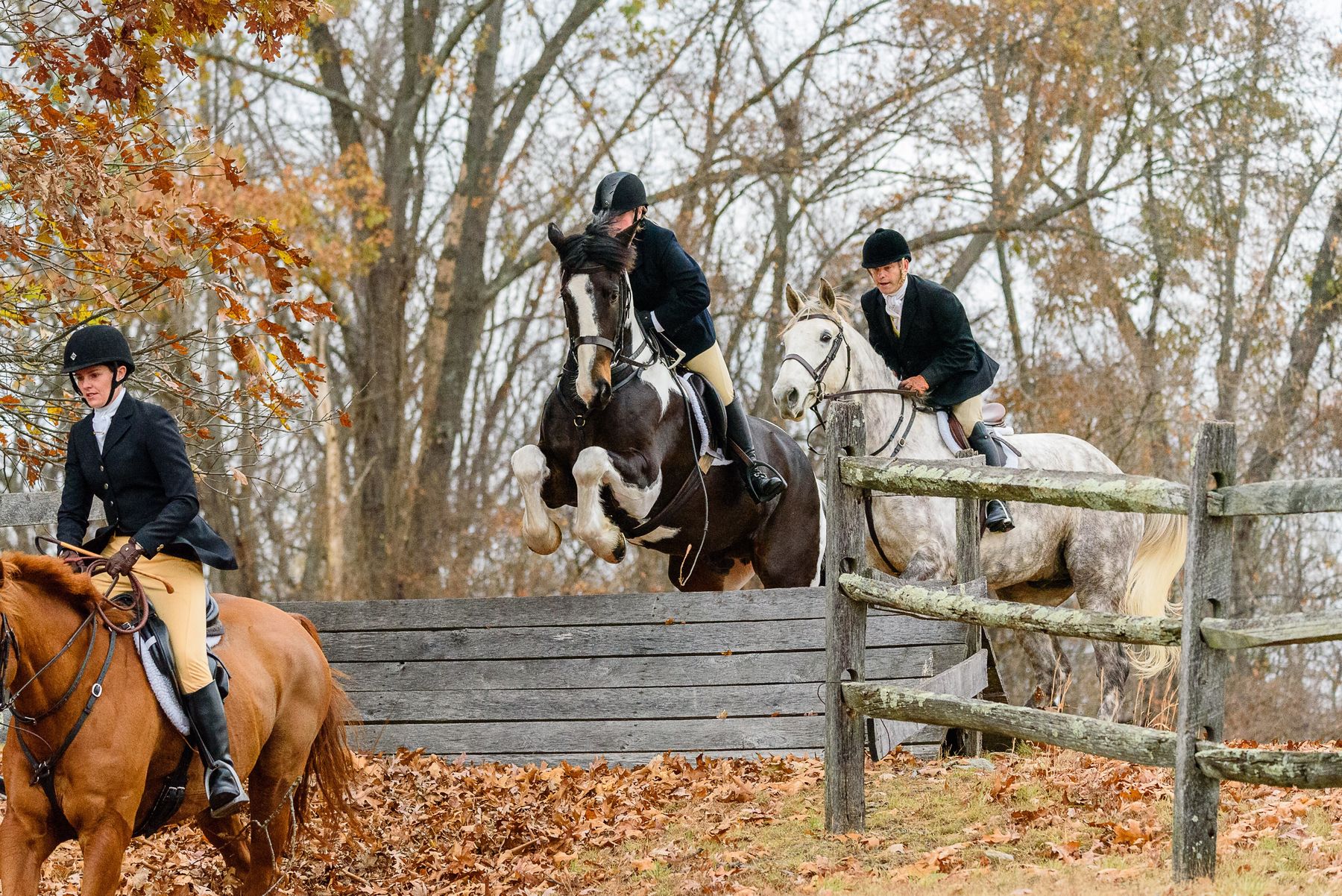 Duck Hunt Cravate D'équitation Grise 4 Plis Foxhunter - Pour Tenue