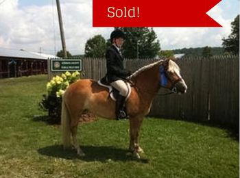 Gypsy has Sold.  Congrats and Happy hunting!
