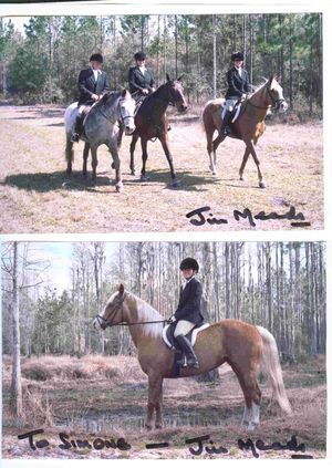 Miss Mae....Sold. Congratulations and Happy Trails to Connie Nicklin of Gaiensville, Florida.
