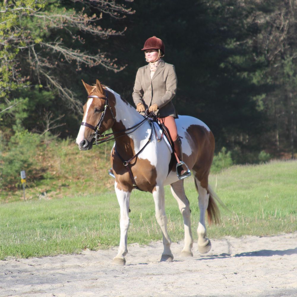 The Fox Hunting Horse - Field Master's Horse