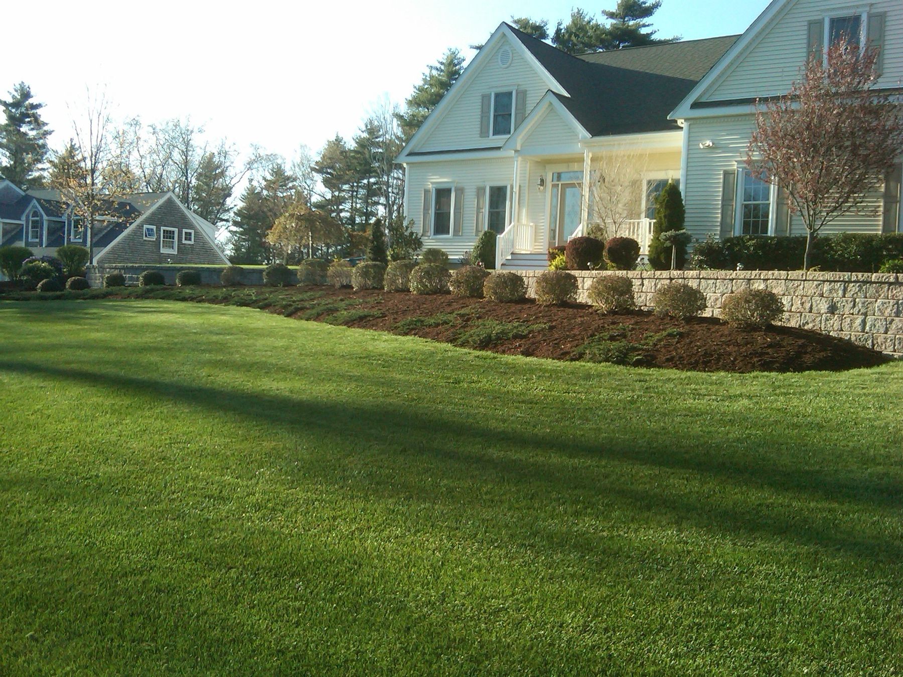 Lima's Landscaping & Irrigation