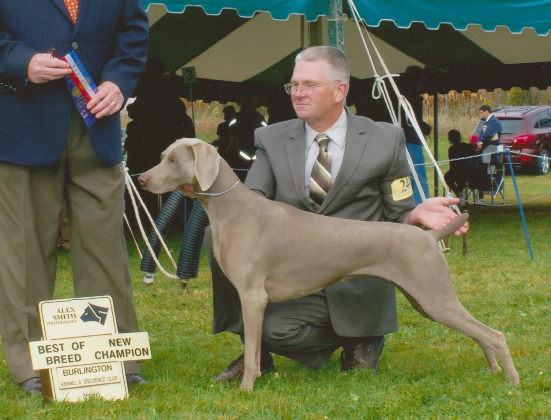 Oakpoint weimaraners hot sale