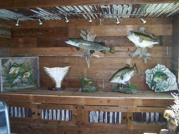 Shop Photo of Fish Replicas
