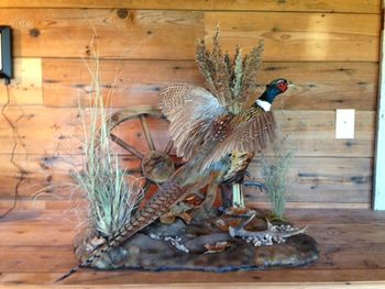 Small Pheasant Scene with Wagon Wheel
