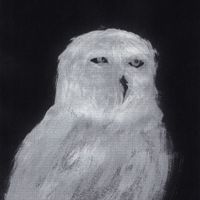 Unimpressed Owl (8x10" original)