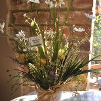 Wildflower Potted Meadow - Malvern Hills (UK customers)