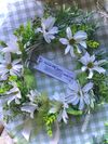 Wildflower Meadow Wreath - Isles of Scilly (for UK customers)