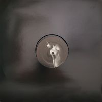 Pasadena: Krystian Shek & Surya - (12" Vinyl)