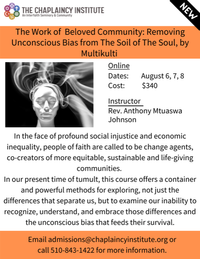 VIRTUAL WORKSHOP- The Work of Beloved Community: Removing Unconscious Debris from the Soil of the Soul