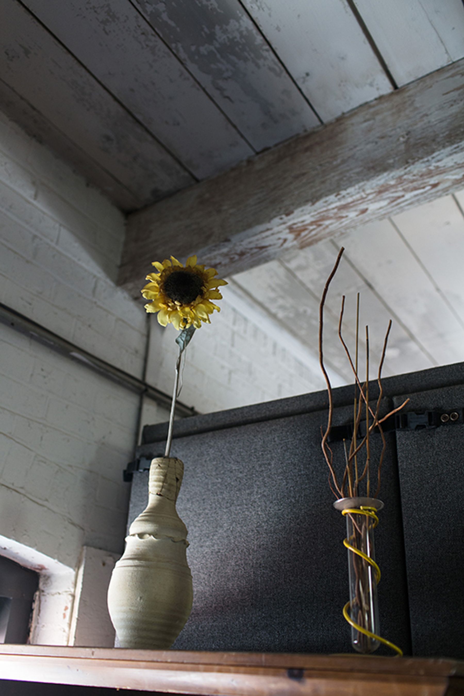 Paul Rocha About Stingy Alley