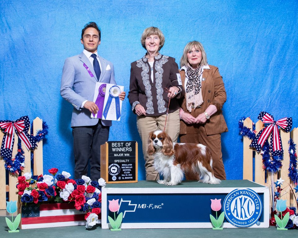 Cavalier specialty best sale club breeders