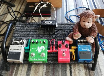 CatTrick Band: Stan's Monkey Guitar Pedals

