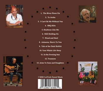 CatTrick Band: Debut CD Back Cover
