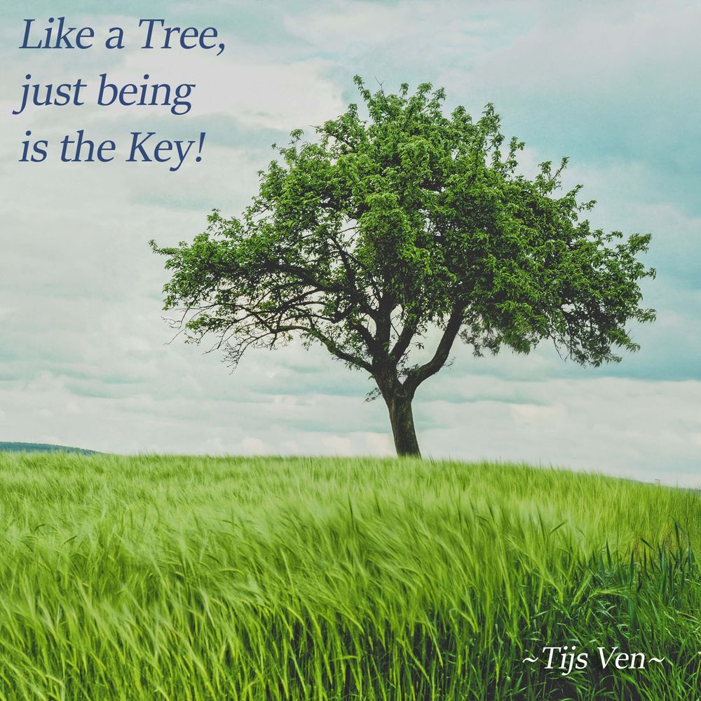 Tijs Ven - Quote - Like a Tree...
