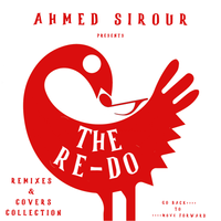 The RE-DO COLLECTION by Ahmed Sirour