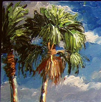 Close up of Palette knife made sabal palmetto tree. From 'Florda Everglades' Jan 13th, 2008

