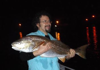Redfish, also known as the Red Drum. Mazz caught this in the Indian River Lagoon, Sebastian Florida. Small crab for bait. July 7th 2013 (Catch and Released)
