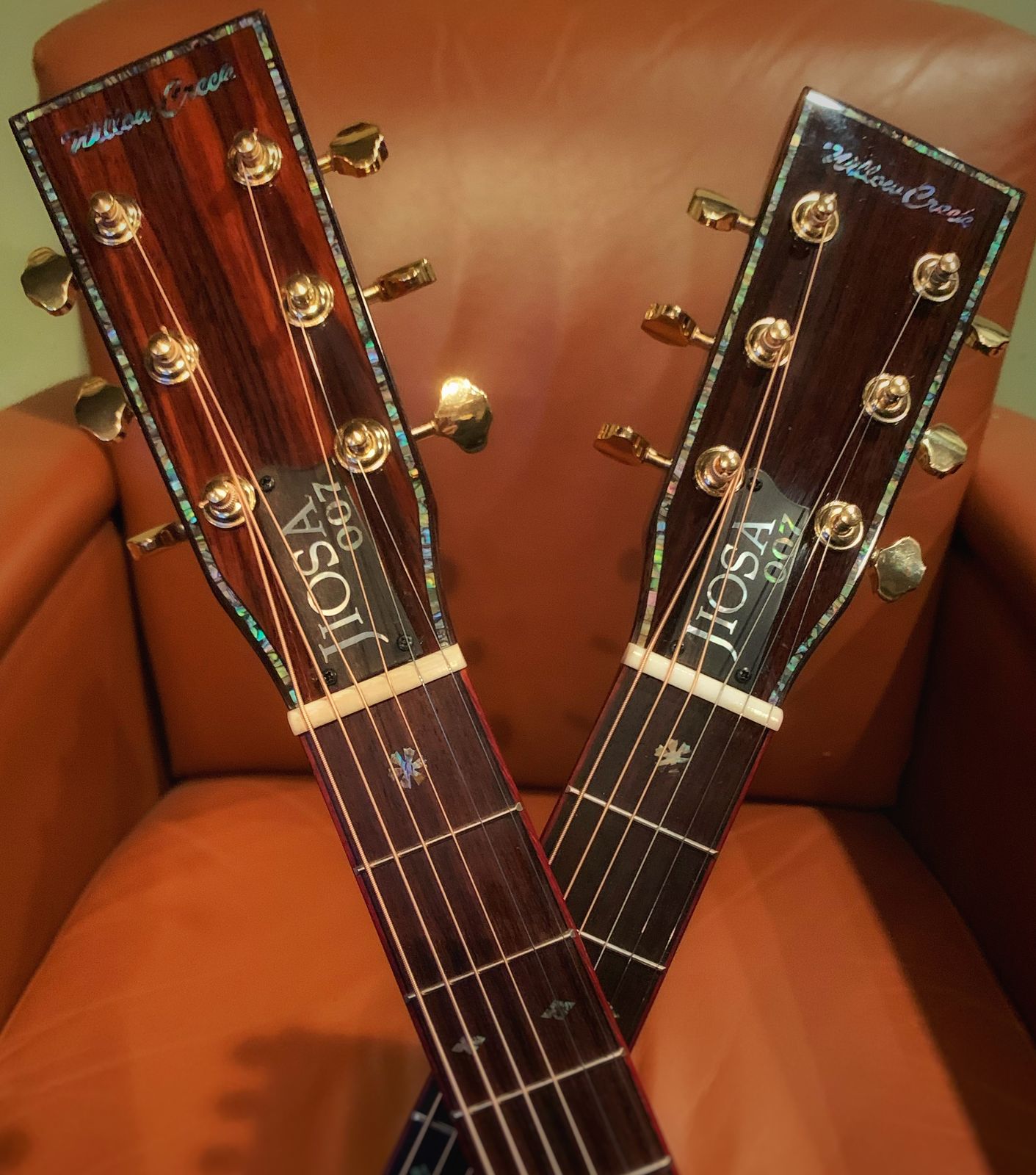 DENNY JIOSA - JIOSA 007 Signature Guitar Info