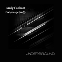 Underground by Andy Carhart & Pernicious Birds