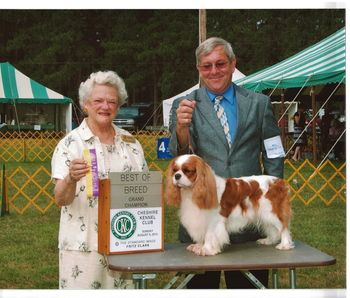 LaurelWind Go The Distance, "Miles" Wins Best Of Breed and his Grand Championship. Miles Sire is Canadian/AKC Champion Ca Cambridge Ring My Chime, his Dam is LaurelWind Tiger Lilee.
