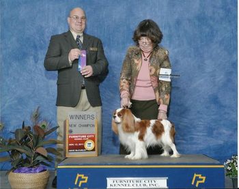 AKC Ch, Can CH Ca Cambridge Ring My Chime. Chime, Winners Dog at the Furniture City Club show.
